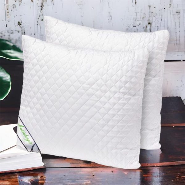 Set 2 Perne Matlasate Micro Antialergice 70/70 cm